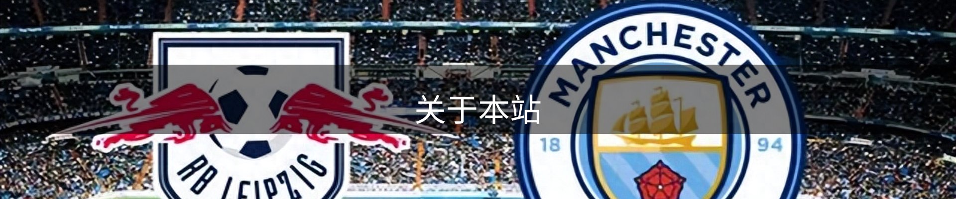 关于本站